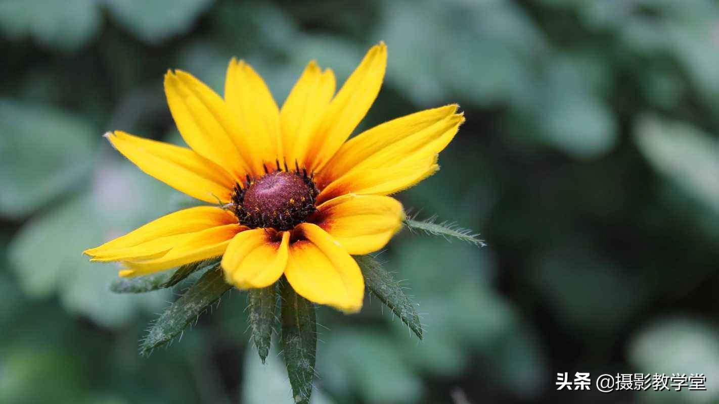 关于摄影的基础知识景深,摄影基础知识入门光圈