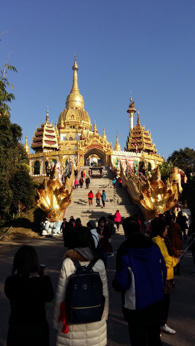 他发明了树木打点滴，到云南不要错过他的珍奇园