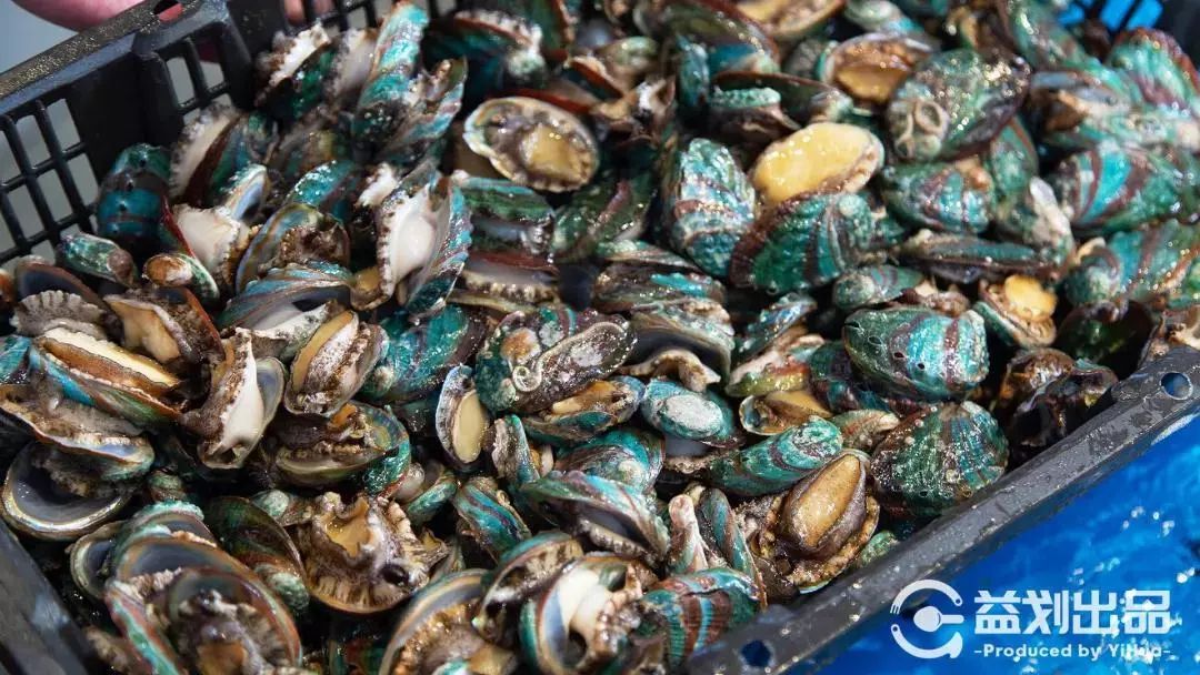 青岛人气最旺的老店,青岛市区十大必吃饭店