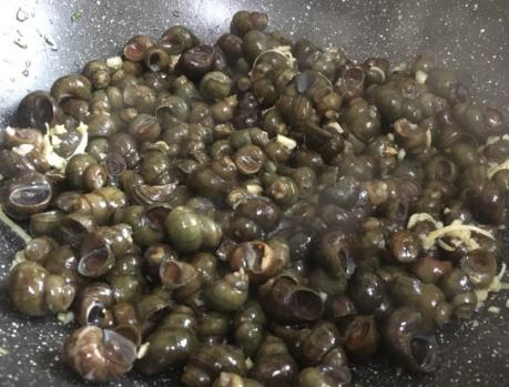 清洗田螺吐沙的方法,洗田螺的正确处理方法