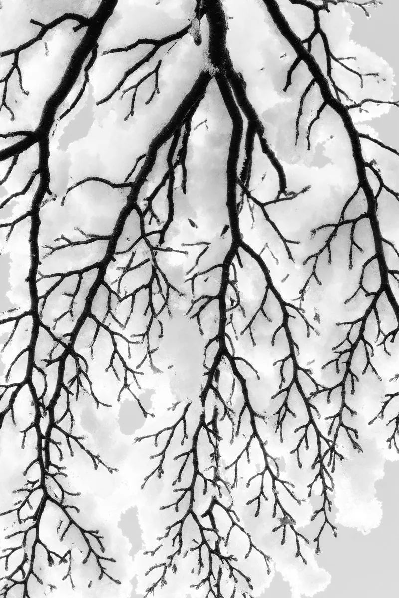 冰雪摄影心得,冰雪拍摄10个思路