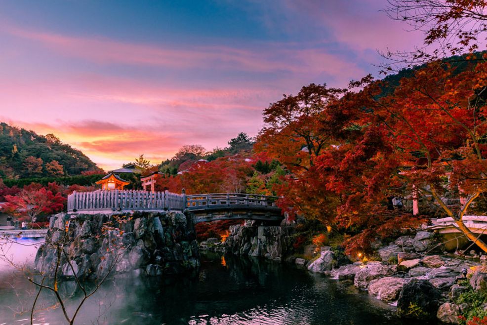 大阪攻略自由行,看惯了千篇一律的高楼大厦