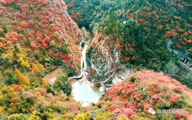 我叫成县，这是我2019年的自拍照~