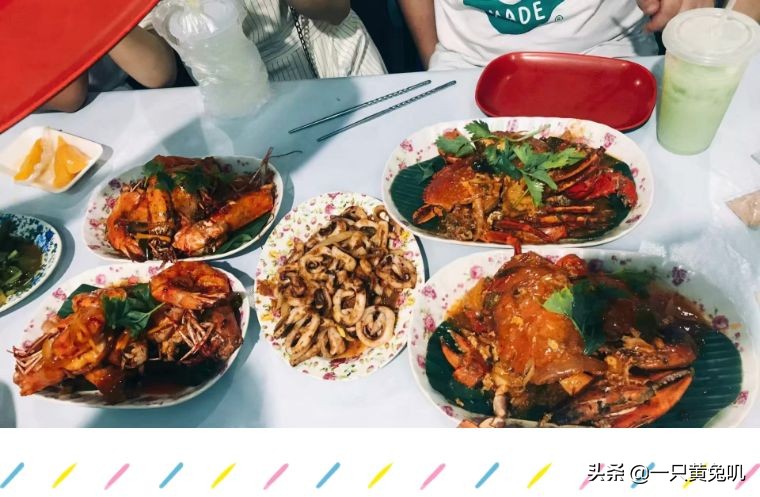 美人鱼之乡，速成老司机专场