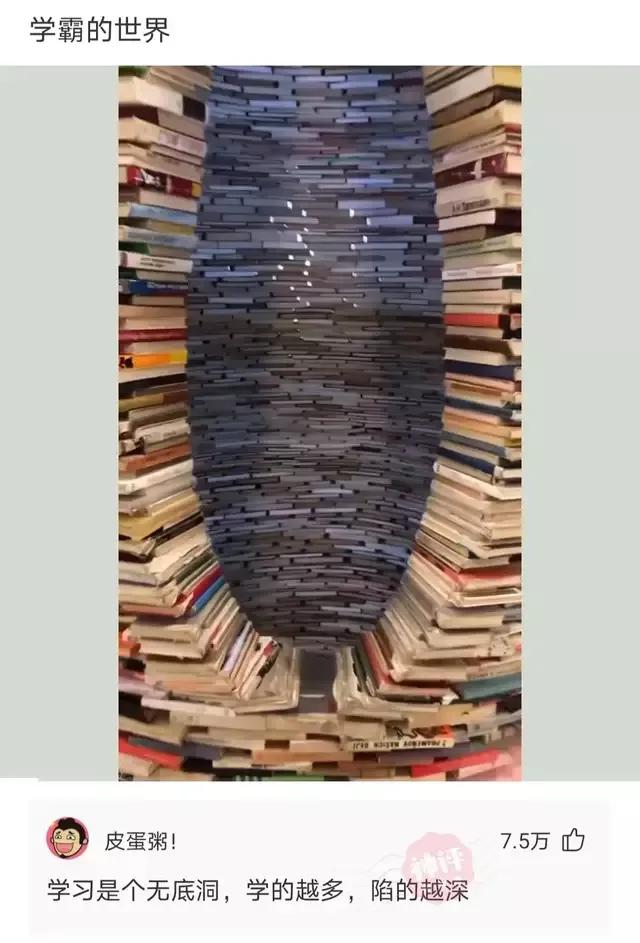 神回复下半句,神回复煮东西