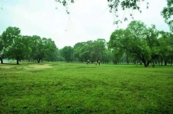 再过半个月，全国人民都将羡慕南阳