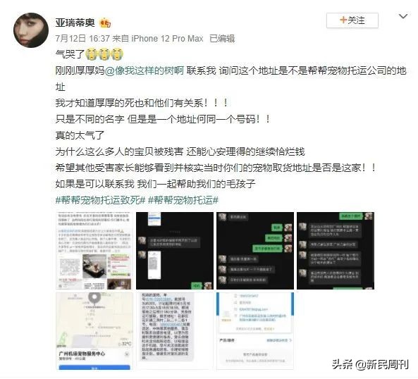 金毛被空运转为陆运,空运改陆运金毛事件