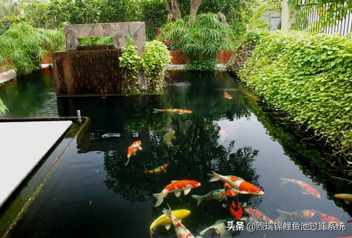 一个强大的过滤系统,一个过滤系统带多个鱼缸