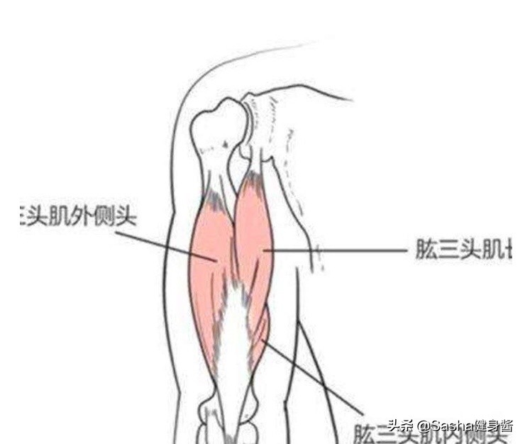 手臂拜拜肉怎么减最快瘦下来,手臂粗告别拜拜肉有什么方法