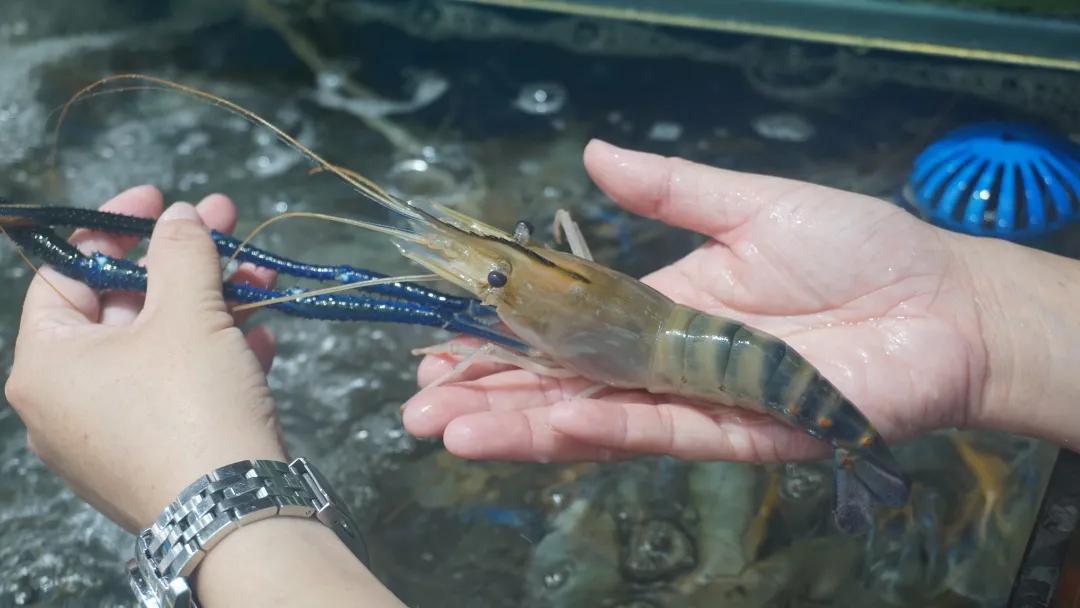 去菜市场吧！|黄沙，负名之下书尽鲜活百态