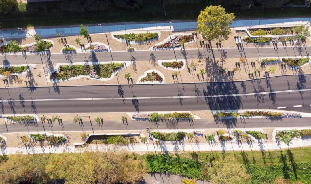 道路设计效果图,个性路面设计