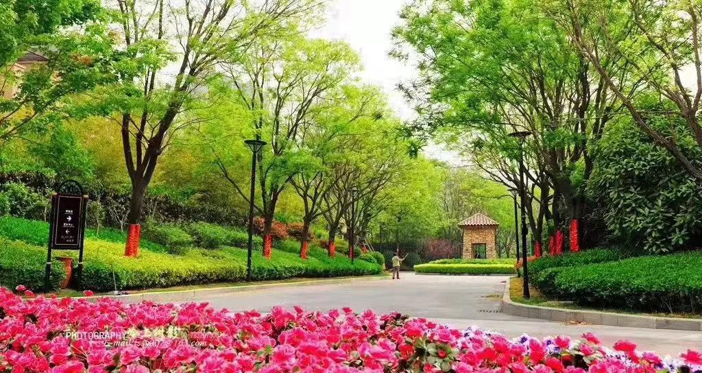 正能量楼盘效果图,效果图与实景一致的楼盘