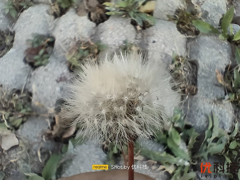 爆款力作，性能更出色realme真我Q3s优科技全面评测