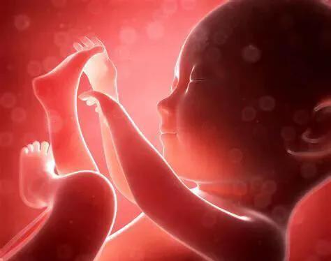 孕期吃什么胎儿头会大,孕妈胎儿头大怎么办