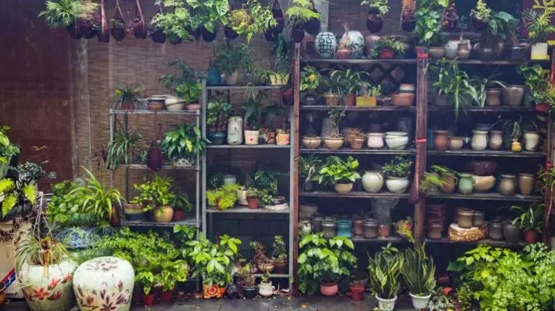 深圳最具特色的十个小镇,深圳深业特色小镇在哪里