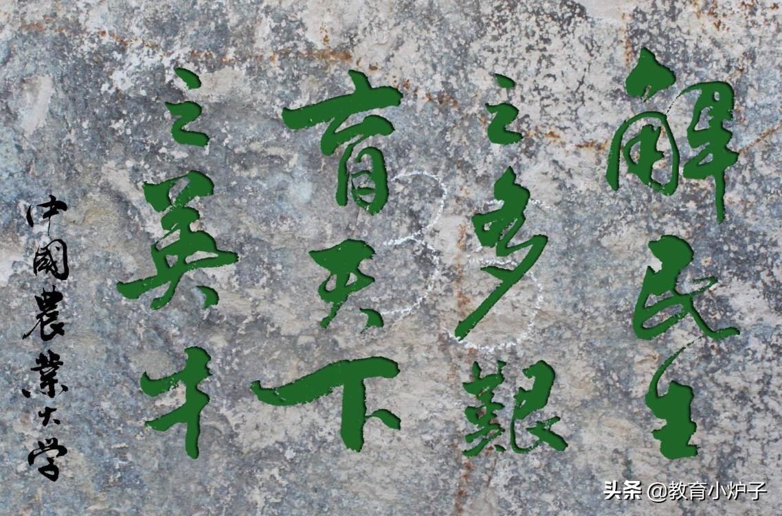 大学改名没改命，一个成功晋升985，一个差点沦为“野鸡大学”