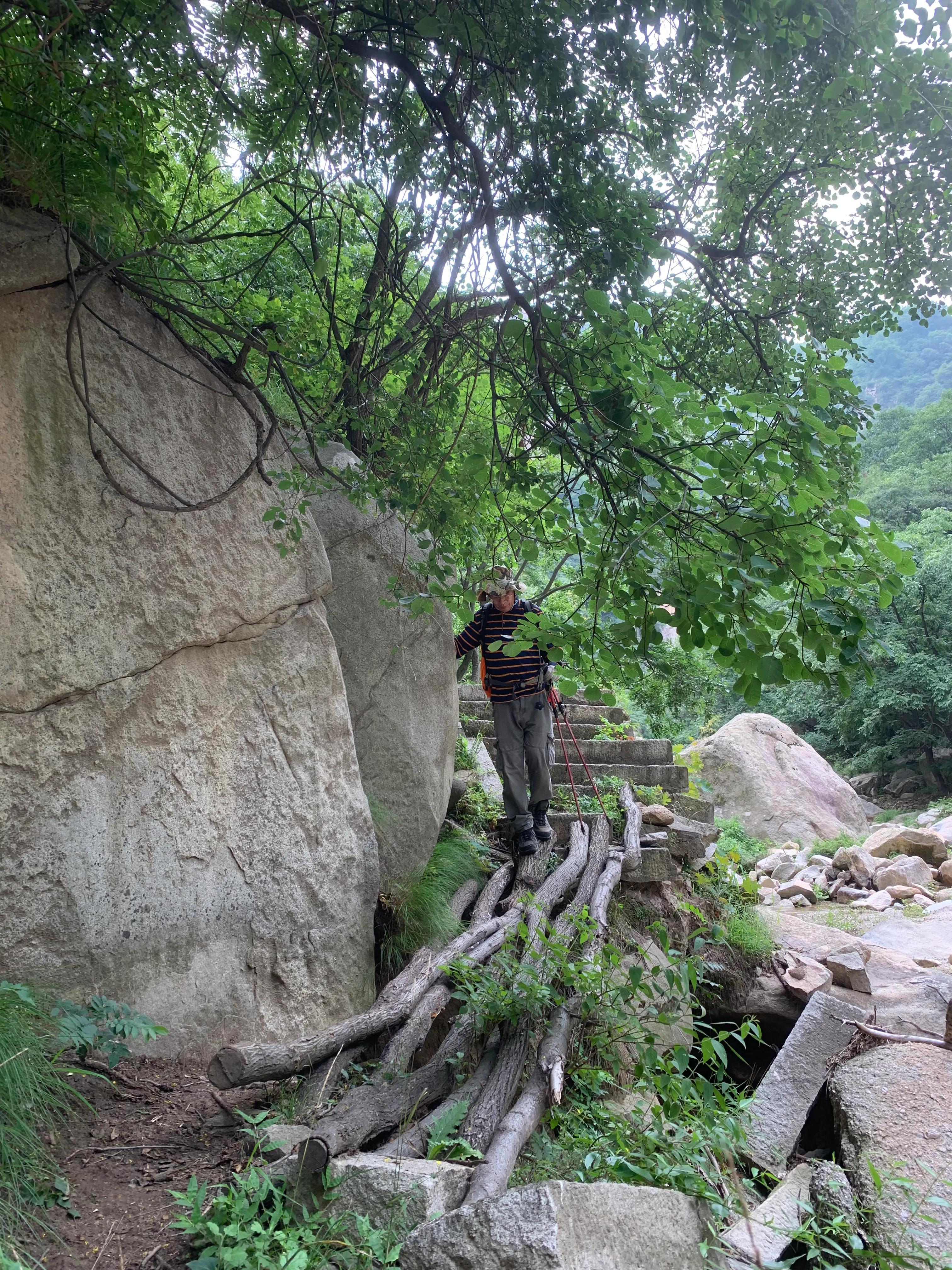 一朵花的守候——七峪沟纪行