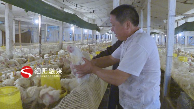 史修银：养殖行业里打拼创业致富不忘家乡人