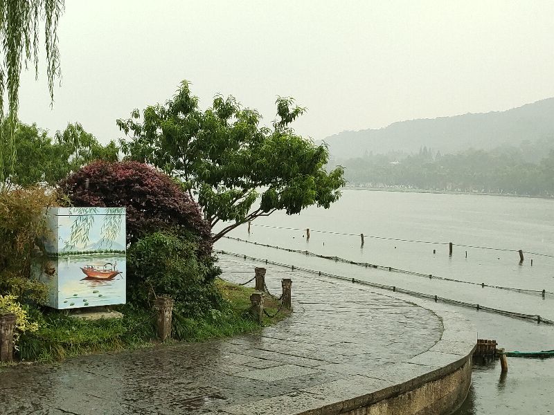 杭州西湖断桥好大的雨,杭州西湖断桥残雪夜景下雨