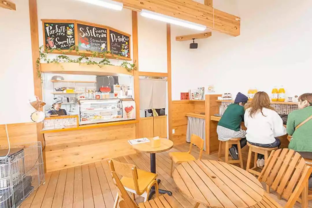 VIP体验团招募｜新年“心”旅程，感受历史名城熊本