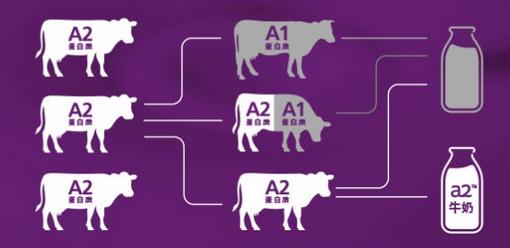 A*奶2**粉火爆全网，备受新手爸妈青睐！价格虚高？到底值不值得买？