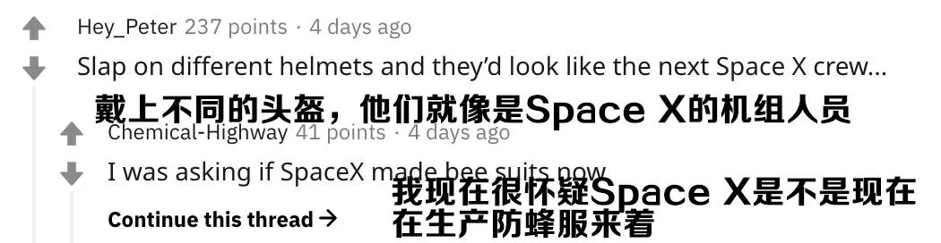 杀人蜂为什么那么可怕,杀人蜂到底有多厉害