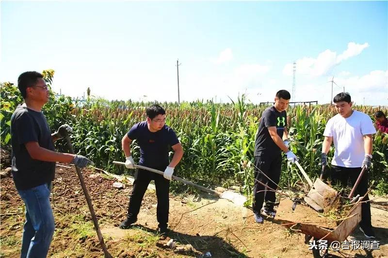 有关如何实现乡村振兴的范文,如何使自己家乡实现乡村振兴目标