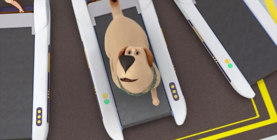 飞狗moco之小柯基的脑洞时刻,飞狗moco和他的小伙伴们