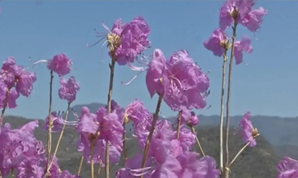 溪游记横岗店,溪游记竹窠