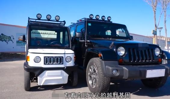 出门遇到这“街头流氓”,我劝你快逃