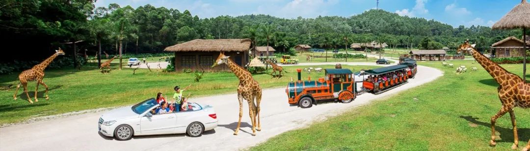 广州长隆双乐园4晚游,广州长隆4晚3天含机票旅游团