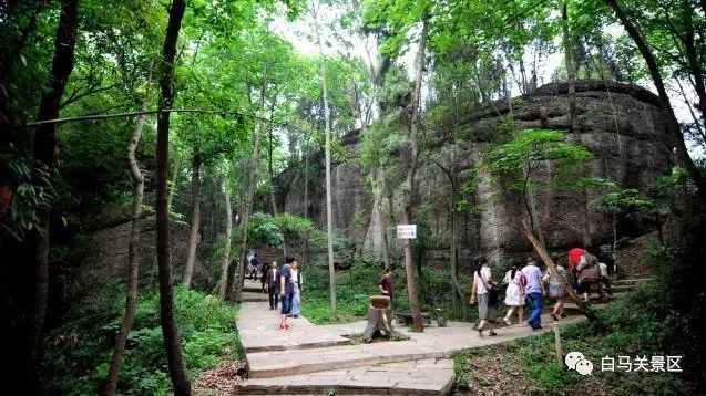 罗江赏梅花,罗江的礼物去哪买