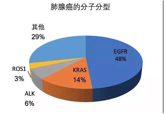 肺腑之言讲解,肺癌患者肺腑之言