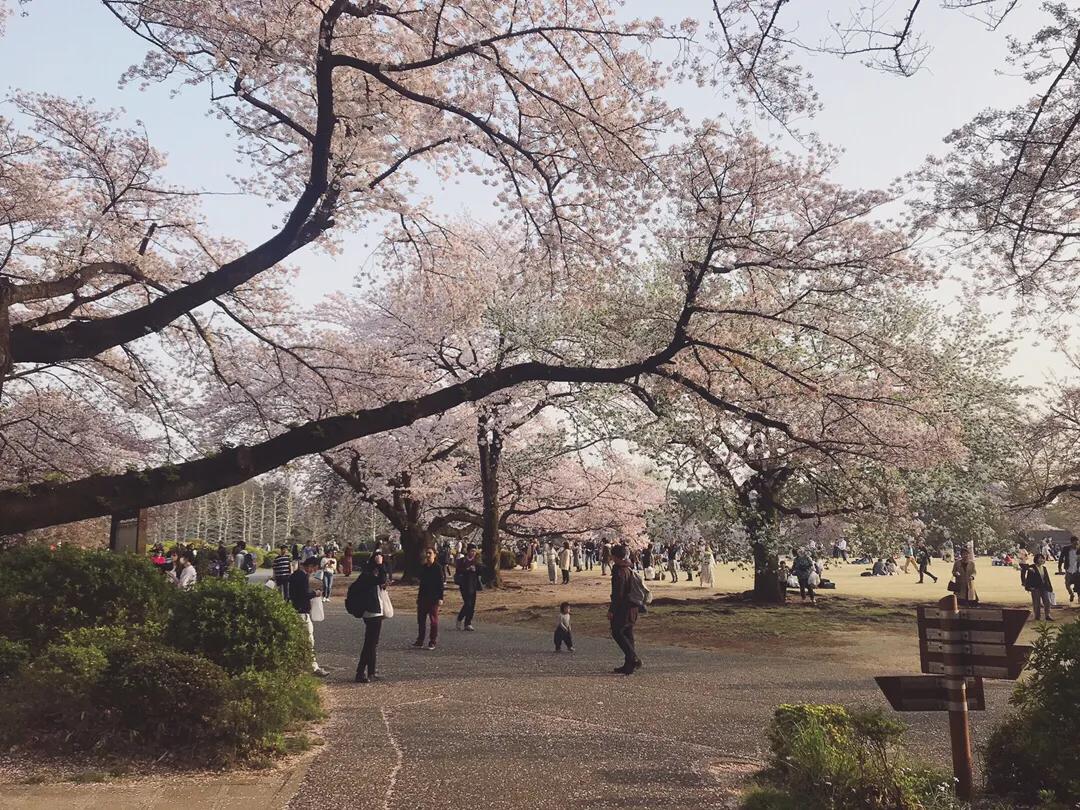 渣男永远都不会变吗,渣男永远不会变好吗