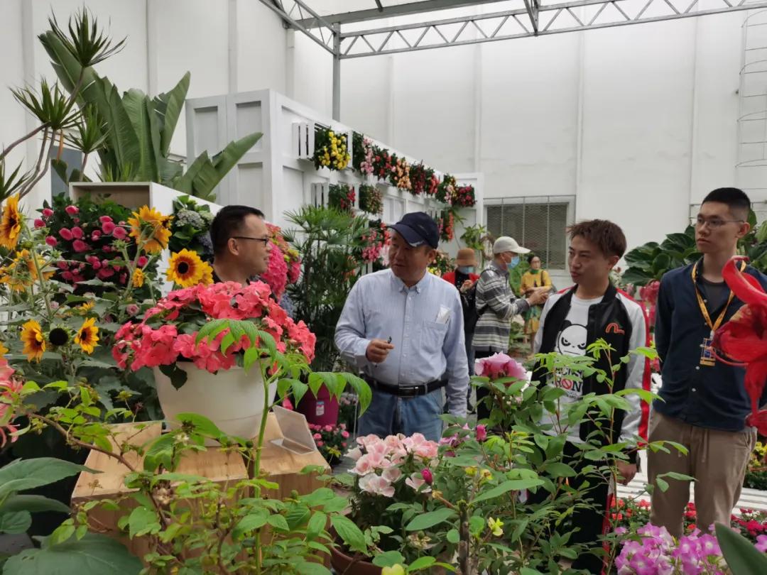 这43个来自世界各地的新品种,快来看看有没有你的菜