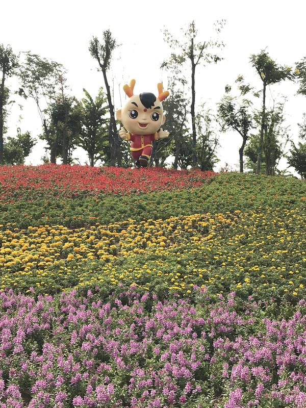 百花齐放迎盛世华夏崛起在今朝,花团锦簇万众瞩目