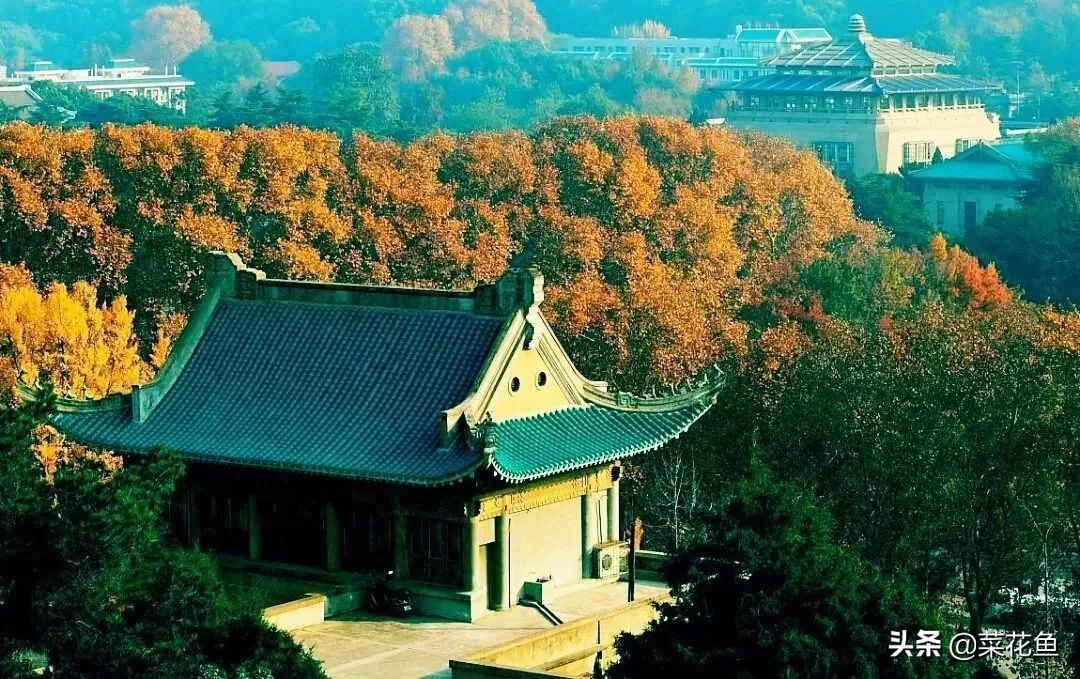 武汉大学医学部考研简介