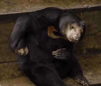 天气潮湿东西发霉身上发痒,房间发霉皮肤痒