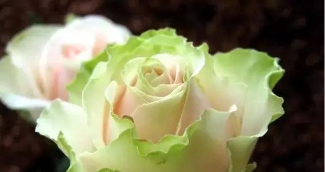 每天学习一点点女性小常识,每天学习一点点科普一下