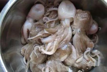 开海什么海鲜最好,开海季肥美海鲜