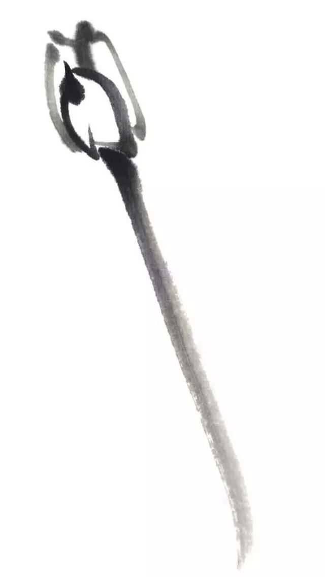 白描荷花100幅画法,荷花的画法白描图