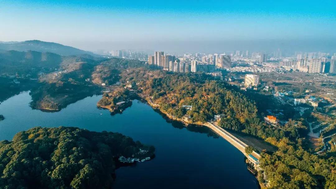 全球最大的城市森林公园,全球最绿色的城市