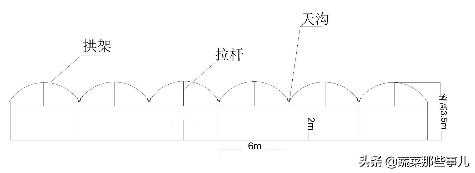 大棚种菜有哪些优势,大棚最适合种什么最赚钱