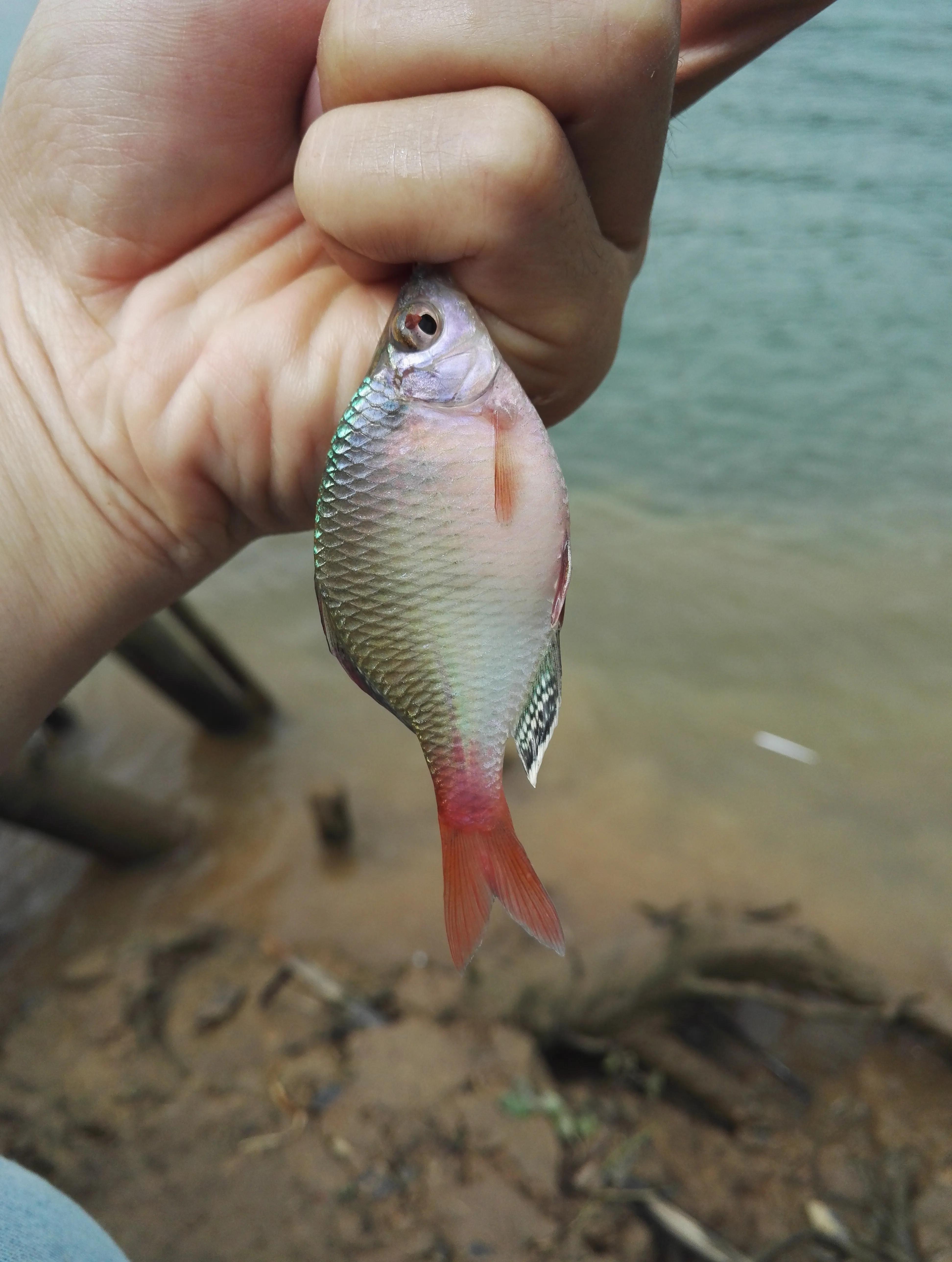 曾经特别火的拍照手机,那些年的拍照手机
