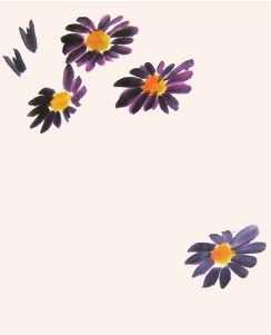 国画知识：不会画菊花？教你5种菊花画法，简单易学，快来临摹吧