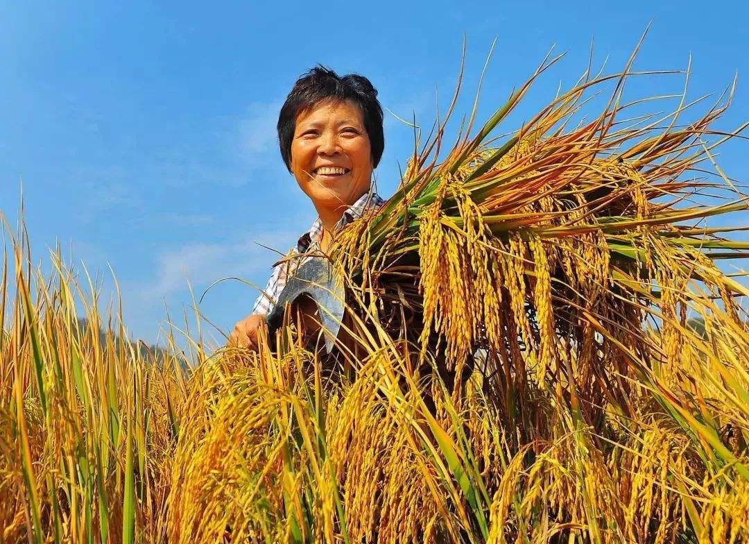 磷酸二氢钾溶解慢是正品还是假货,磷酸二氢钾在水中多长时间溶解