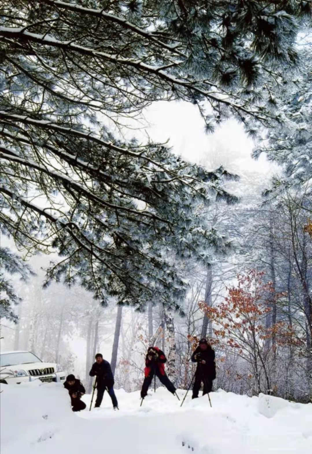 京津环渤海滨海休闲度假地产初探-之二