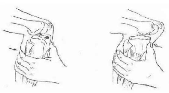 跑步爬楼梯腿会变粗嘛,爬山跑步会磨没软骨吗