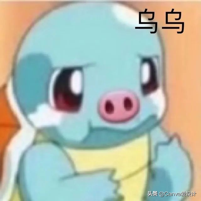 最新野生文案大全,看野生动物发的文案