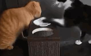 鑷粠鏈変簡鐚不鎰堜簡鎴戠殑鎳掓儼,涓轰粈涔堣姗樼尗鍗佹涔濇福